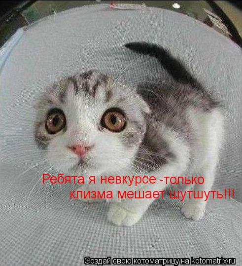 Ребята я невкурсе -только клизма мешает шутшуть!!!... Котоматрица: Ребята я невкурсе -только клизма мешает шутшуть!!!