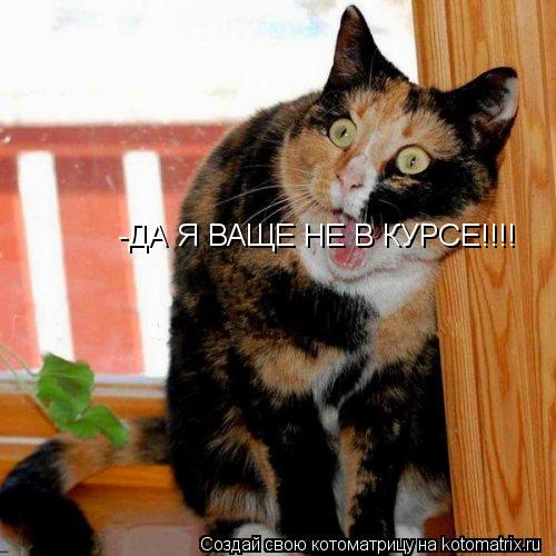 -ДА Я ВАЩЕ НЕ В КУРСЕ!!!!... Котоматрица: -ДА Я ВАЩЕ НЕ В КУРСЕ!!!!