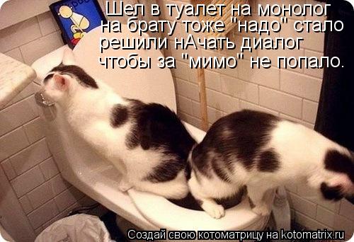 Шел в туалет на монолог на брату тоже "надо" стало решили нАчать диалог чтобы за "мимо" не попало.... Котоматрица: Шел в туалет на монолог на брату тоже "надо" стало решили нАчать диалог чтобы за "мимо" не попало.