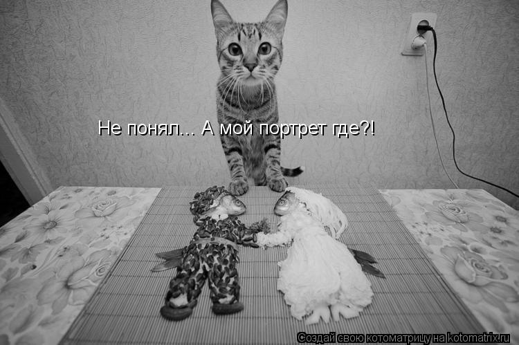 Не понял... А мой портрет где?!... Котоматрица: Не понял... А мой портрет где?!