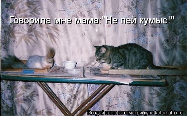 Говорила мне мама:"Не пей кумыс!"... Котоматрица: Говорила мне мама:"Не пей кумыс!"