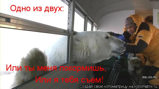 Одно из двух: Или ты меня покормишь, Или я тебя съем!... Котоматрица: Одно из двух: Или ты меня покормишь, Или я тебя съем!