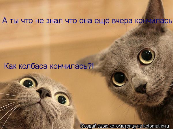 Как колбаса кончилась?! А ты что не знал что она ещё вчера кончилась... Котоматрица: Как колбаса кончилась?! А ты что не знал что она ещё вчера кончилась