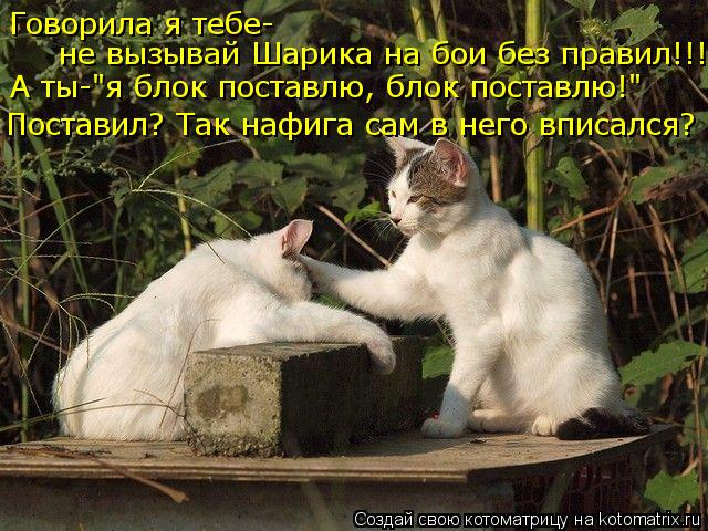 Говорила я тебе- не вызывай Шарика на бои без правил!!! А ты-"я блок поставлю, блок поставлю!" Постав... Котоматрица: Говорила я тебе- не вызывай Шарика на бои без правил!!! А ты-"я блок поставлю, блок поставлю!" Поставил? Так нафига сам в него вписался?