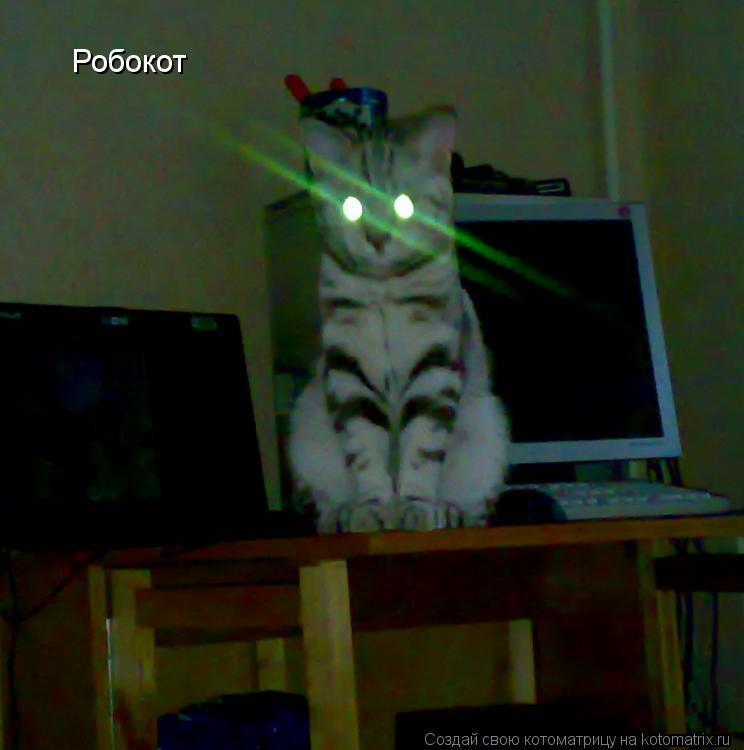Робокот... Котоматрица: Робокот