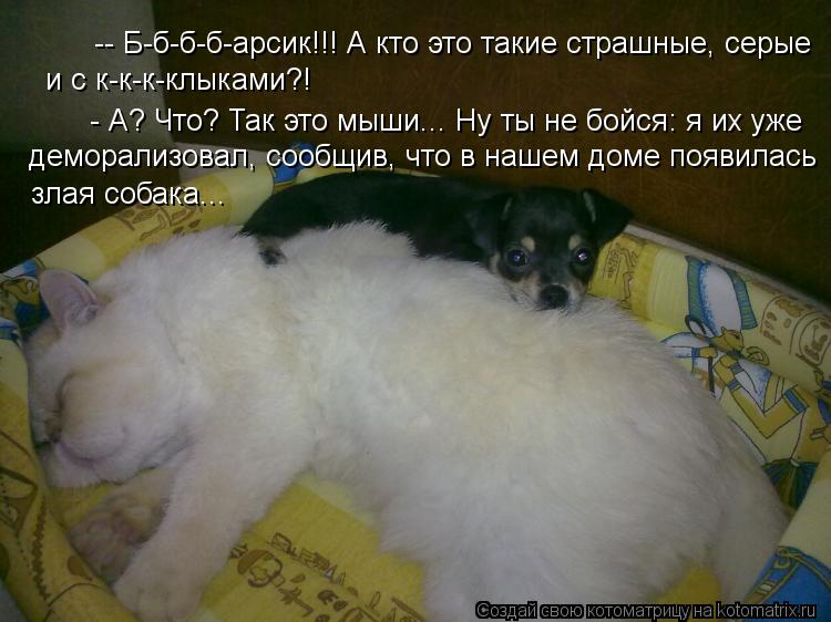 -- Б-б-б-б-арсик!!! А кто это такие страшные, серые и с к-к-к-клыками?! - А? Что? Так это мыши... Ну... Котоматрица: -- Б-б-б-б-арсик!!! А кто это такие страшные, серые и с к-к-к-клыками?! - А? Что? Так это мыши... Ну ты не бойся: я их уже деморализовал, сообщив, чт