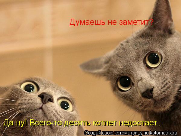 Думаешь не заметит? Да ну! Всего-то десять котлет недостает...... Котоматрица: Думаешь не заметит? Да ну! Всего-то десять котлет недостает...