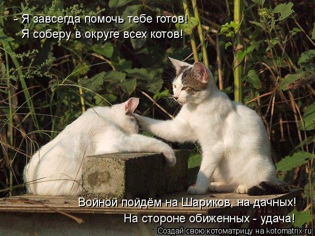 - Я завсегда помочь тебе готов! Я соберу в округе всех котов! Войной пойдём на Шариков, на дачных! На... Котоматрица: - Я завсегда помочь тебе готов! Я соберу в округе всех котов! Войной пойдём на Шариков, на дачных! На стороне обиженных - удача!