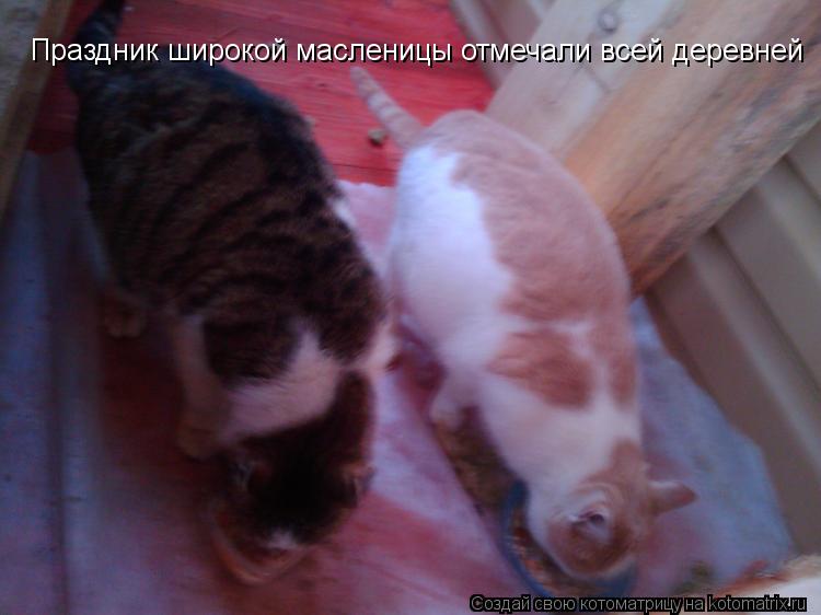 Праздник широкой масленицы отмечали всей деревней Праздник широкой масленицы отмечали всей деревней... Котоматрица: Праздник широкой масленицы отмечали всей деревней Праздник широкой масленицы отмечали всей деревней