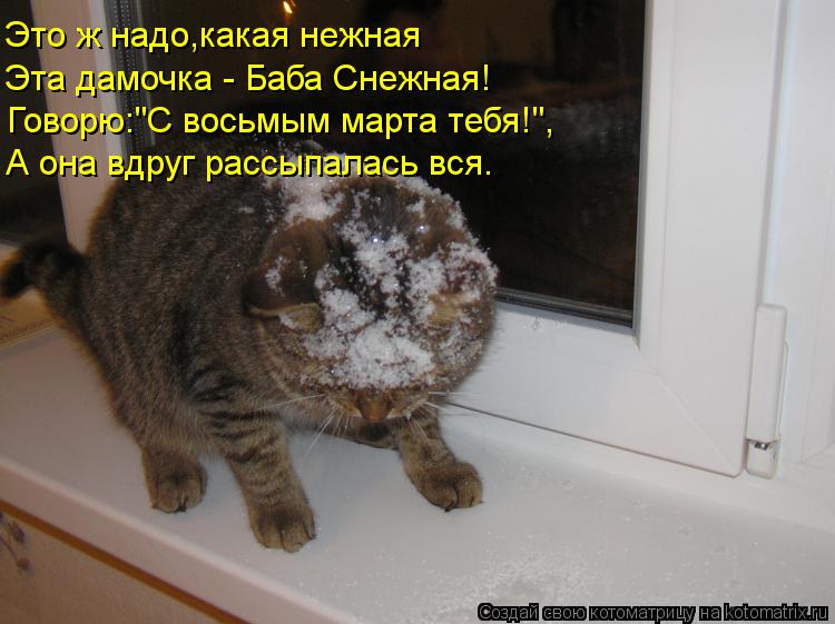 Котоматрица: Это ж надо,какая нежная Эта дамочка - Баба Снежная! Говорю:"С восьмым марта тебя!", А она вдруг рассыпалась вся.