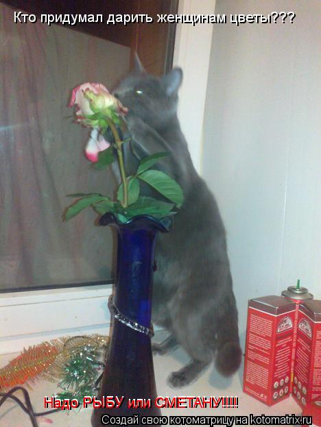 Котоматрица: Кто придумал дарить женщинам цветы??? Надо РЫБУ или СМЕТАНУ!!!! Надо РЫБУ или СМЕТАНУ!!!!