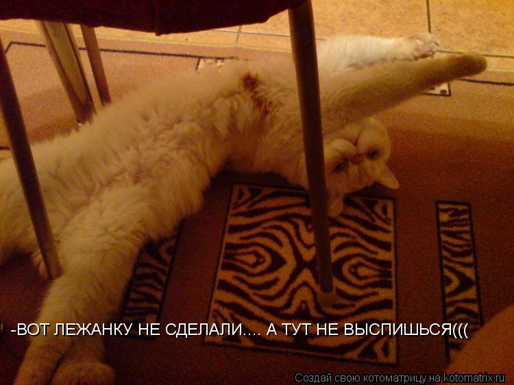 Котоматрица: -ВОТ ЛЕЖАНКУ НЕ СДЕЛАЛИ.... А ТУТ НЕ ВЫСПИШЬСЯ(((