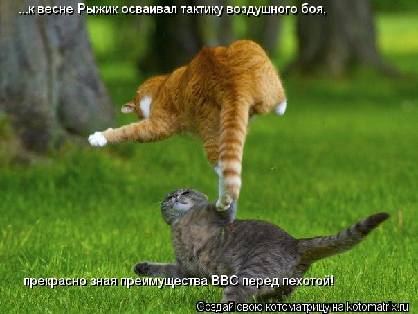 ...к весне Рыжик осваивал тактику воздушного боя, прекрасно зная преимущества ВВС перед пехотой!... Котоматрица: ...к весне Рыжик осваивал тактику воздушного боя, прекрасно зная преимущества ВВС перед пехотой!