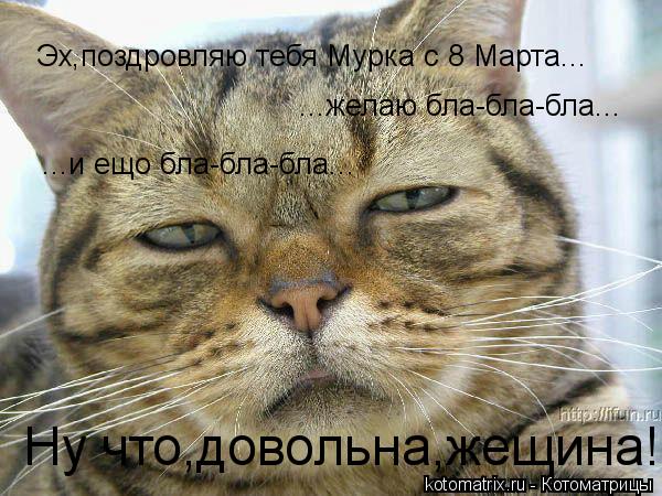 Котоматрица: ...желаю бла-бла-бла... ...и ещо бла-бла-бла... Эх,поздровляю тебя Мурка с 8 Марта... Ну что,довольна,жещина!