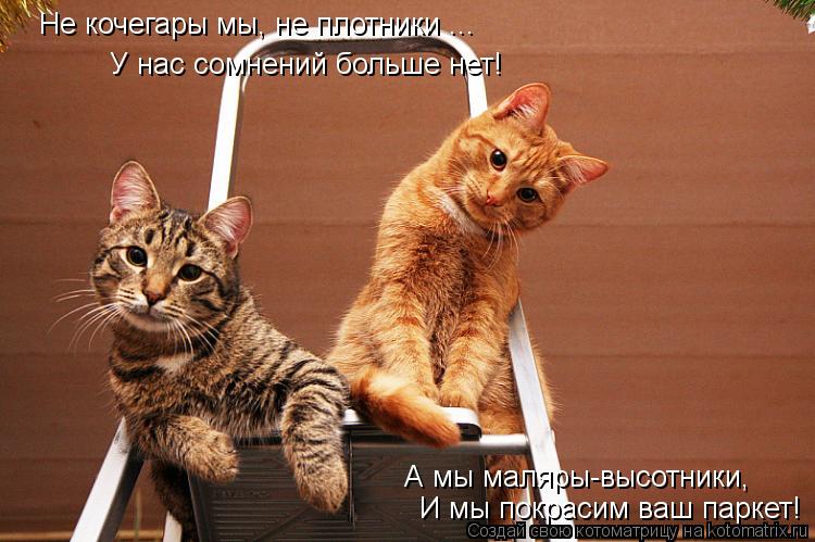 Не кочегары мы, не плотники ... У нас сомнений больше нет! А мы маляры-высотники, И мы покрасим ваш... Котоматрица: Не кочегары мы, не плотники ... У нас сомнений больше нет! А мы маляры-высотники, И мы покрасим ваш паркет!