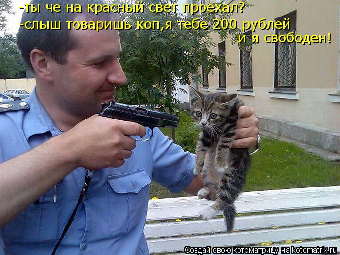 -ты че на красный свет проехал? -слыш товаришь коп,я тебе 200 рублей и я свободен!... Котоматрица: -ты че на красный свет проехал? -слыш товаришь коп,я тебе 200 рублей и я свободен!