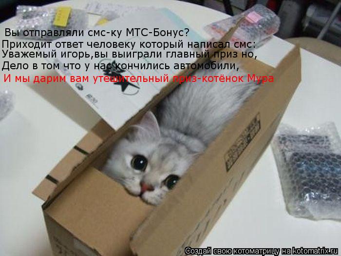 Вы отправляли смс-ку МТС-Бонус? Приходит ответ человеку который написал смс: Уважемый игорь,вы выигра... Котоматрица: Вы отправляли смс-ку МТС-Бонус? Приходит ответ человеку который написал смс: Уважемый игорь,вы выиграли главный приз но, Дело в том что у нас