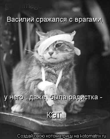 Василий сражался с врагами, у него , даже, была радистка - КЭТ... Котоматрица: Василий сражался с врагами, у него , даже, была радистка - КЭТ