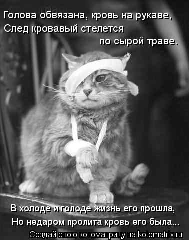 Голова обвязана, кровь на рукаве, След кровавый стелется по сырой траве. В холоде и голоде жизнь его ... Котоматрица: Голова обвязана, кровь на рукаве, След кровавый стелется по сырой траве. В холоде и голоде жизнь его прошла, Но недаром пролита кровь его был