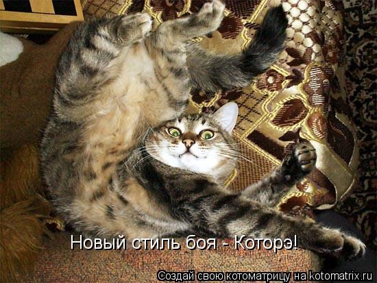 Новый стиль боя - Которэ!... Котоматрица: Новый стиль боя - Которэ!