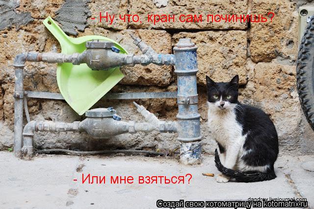 - Ну что, кран сам починишь? - Или мне взяться?... Котоматрица: - Ну что, кран сам починишь? - Или мне взяться?