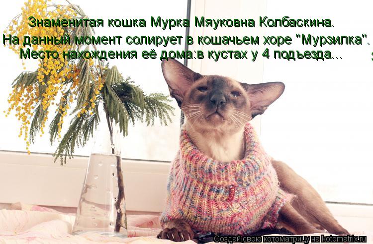 Котоматрица: Знаменитая кошка Мурка Мяуковна Колбаскина. Знаменитая кошка Мурка Мяуковна Колбаскина. На данный момент солирует в кошачьем хоре "Мурзил