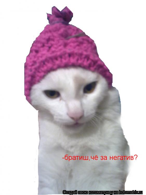 -братиш,чё за негатив?... Котоматрица: -братиш,чё за негатив?