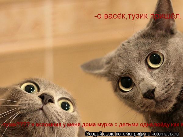 -о васёк,тузик пришёл. -тузик???? я вспомнил,у меня дома мурка с детьми одна,пойду как я... Котоматрица: -о васёк,тузик пришёл. -тузик???? я вспомнил,у меня дома мурка с детьми одна,пойду как я