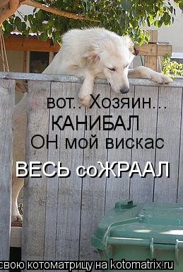 вот.. Хозяин... КАНИБАЛ КАНИБАЛ ОН мой вискас ВЕСЬ соЖРААЛ... Котоматрица: вот.. Хозяин... КАНИБАЛ КАНИБАЛ ОН мой вискас ВЕСЬ соЖРААЛ