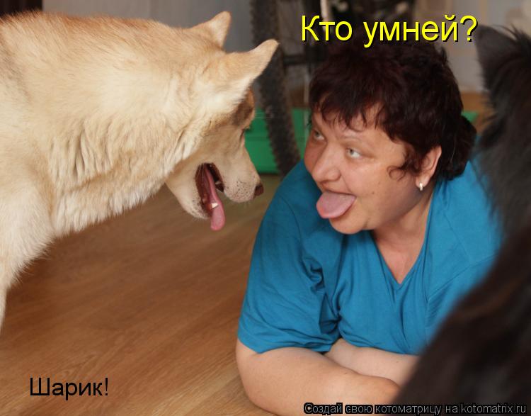Кто умней? Шарик!... Котоматрица: Кто умней? Шарик!