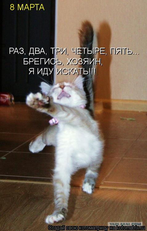 8 МАРТА РАЗ, ДВА, ТРИ, ЧЕТЫРЕ, ПЯТЬ... БРЕГИСЬ, ХОЗЯИН, Я ИДУ ИСКАТЬ!!!... Котоматрица: 8 МАРТА РАЗ, ДВА, ТРИ, ЧЕТЫРЕ, ПЯТЬ... БРЕГИСЬ, ХОЗЯИН, Я ИДУ ИСКАТЬ!!!