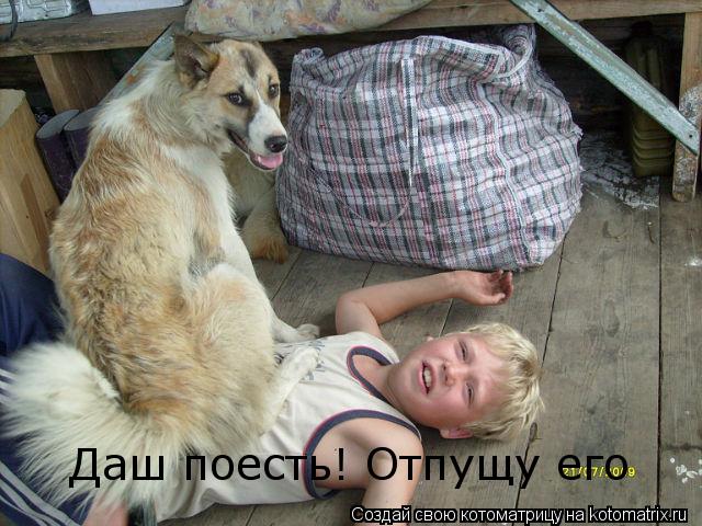Даш поесть! Отпущу его... Котоматрица: Даш поесть! Отпущу его