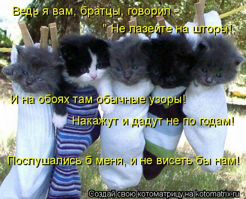 Котоматрица: Ведь я вам, братцы, говорил -  " Не лазейте на шторы!, И на обоях там обычные узоры! Накажут и дадут не по годам! Послушались б меня, и не висеть б