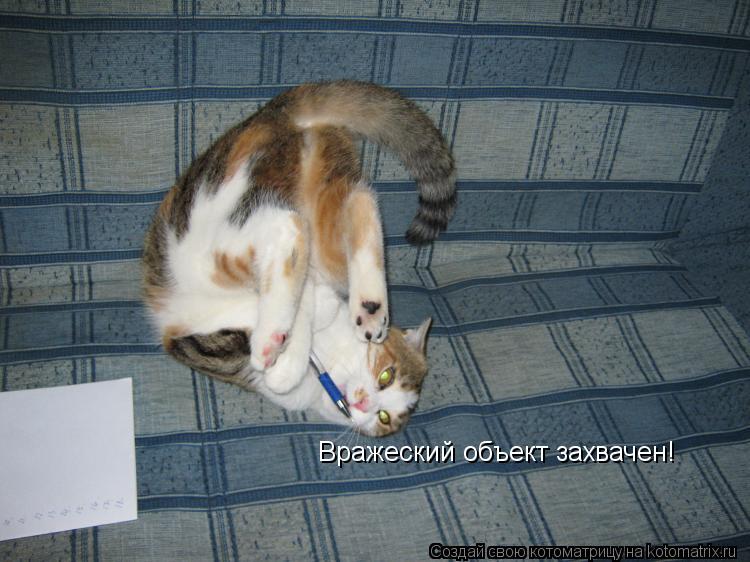 Котоматрица: Вражеский объект захвачен!