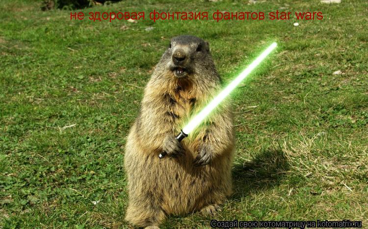 Котоматрица: не здоровая фонтазия фанатов star wars