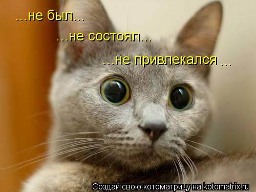Котоматрица: ...не был... ...не состоял... ...не привлекался ...