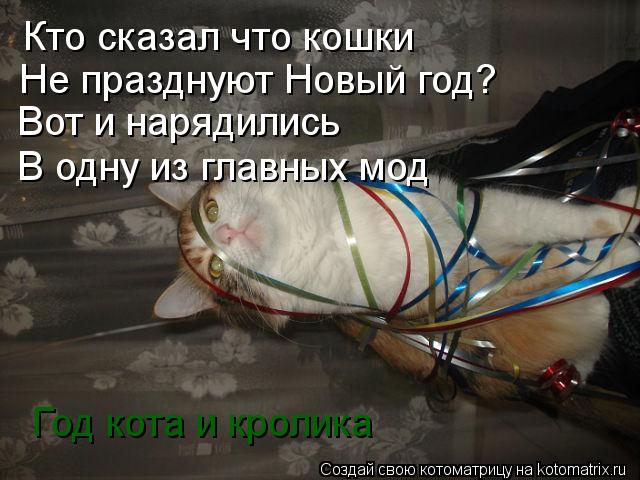 Котоматрица: Кто сказал что кошки Не празднуют Новый год? Вот и нарядились В одну из главных мод Год кота и кролика