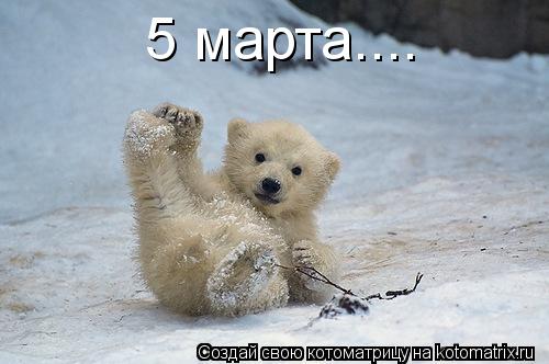 5 марта....... Котоматрица: 5 марта....