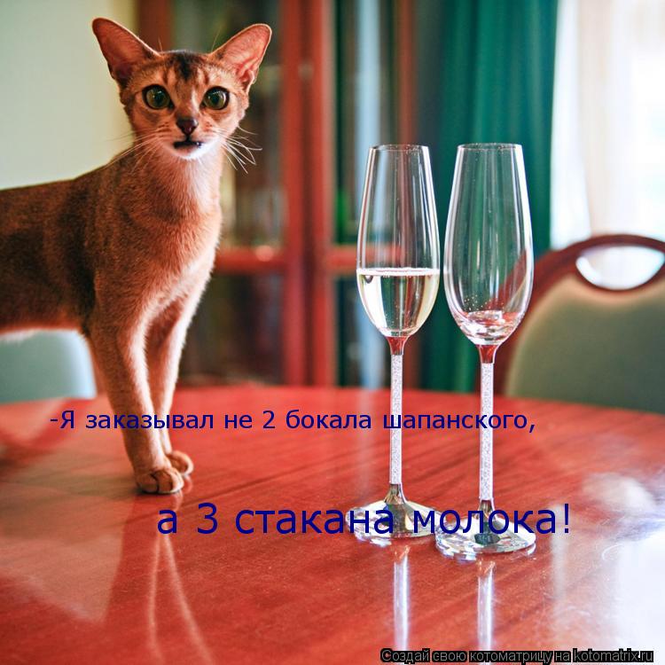 -Я заказывал не 2 бокала шапанского, а 3 стакана молока!... Котоматрица: -Я заказывал не 2 бокала шапанского, а 3 стакана молока!