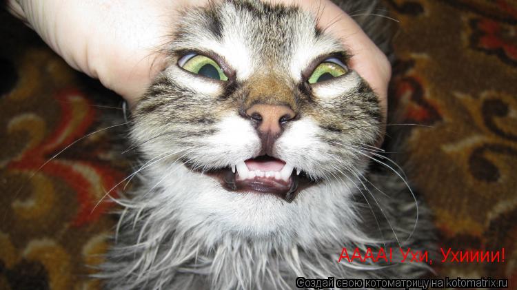 АААА! Ухи, Ухииии!... Котоматрица: АААА! Ухи, Ухииии!