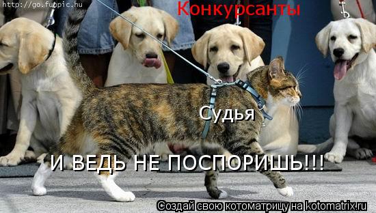 Конкурсанты Судья И ВЕДЬ НЕ ПОСПОРИШЬ!!!... Котоматрица: Конкурсанты Судья И ВЕДЬ НЕ ПОСПОРИШЬ!!!