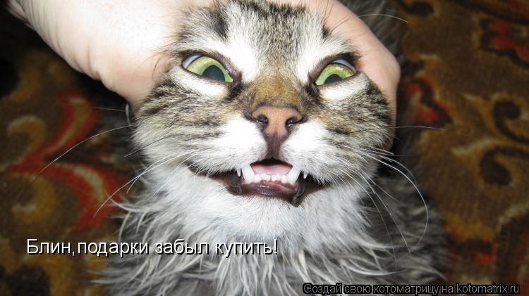 Блин,подарки забыл купить!... Котоматрица: Блин,подарки забыл купить!