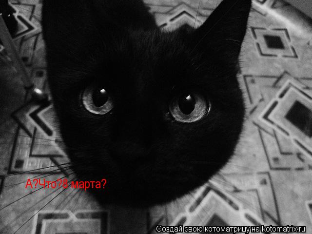 А?Что?8 марта?... Котоматрица: А?Что?8 марта?