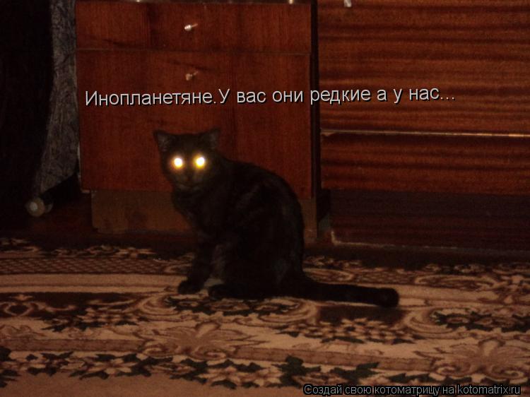Инопланетяне.У вас они редкие а у нас...... Котоматрица: Инопланетяне.У вас они редкие а у нас...