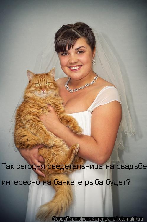 Так сегодня сведетельница на свадьбе интересно на банкете рыба будет?... Котоматрица: Так сегодня сведетельница на свадьбе интересно на банкете рыба будет?