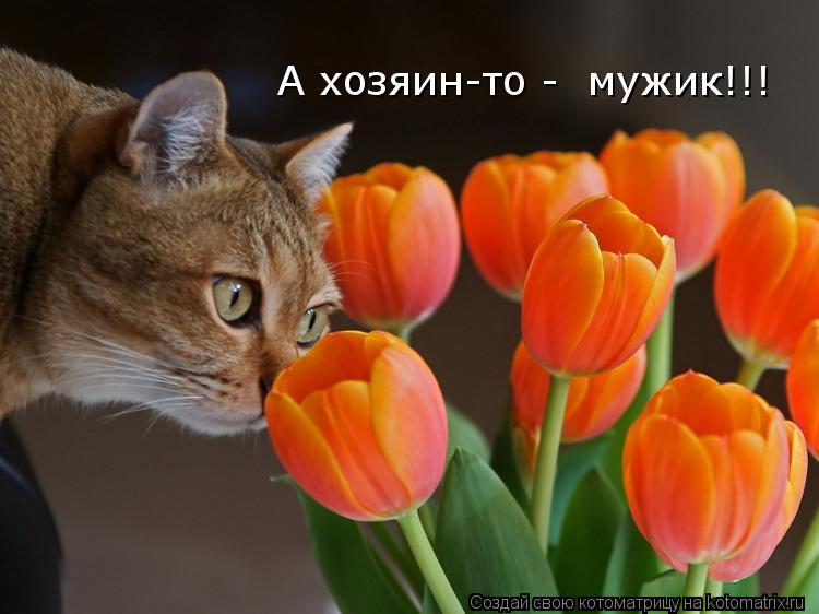 А хозяин-то - мужик!!!... Котоматрица: А хозяин-то - мужик!!!