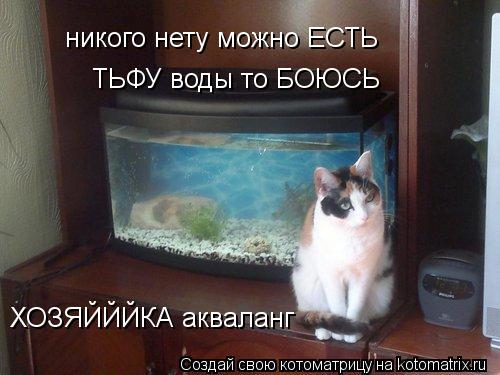 никого нету можно ЕСТЬ ТЬФУ воды то БОЮСЬ ХОЗЯЙЙЙКА акваланг... Котоматрица: никого нету можно ЕСТЬ ТЬФУ воды то БОЮСЬ ХОЗЯЙЙЙКА акваланг