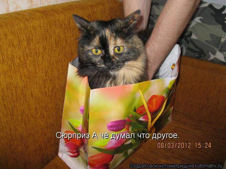 Сюрприз А чё думал что другое.... Котоматрица: Сюрприз А чё думал что другое.