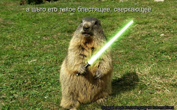 а шьто ето такое блестящее, сверкающее... Котоматрица: а шьто ето такое блестящее, сверкающее