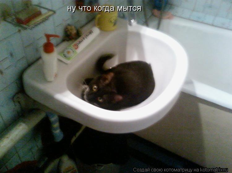 ну что когда мытся... Котоматрица: ну что когда мытся